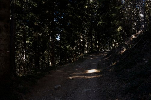 33129484628_7dbf5169c2_z