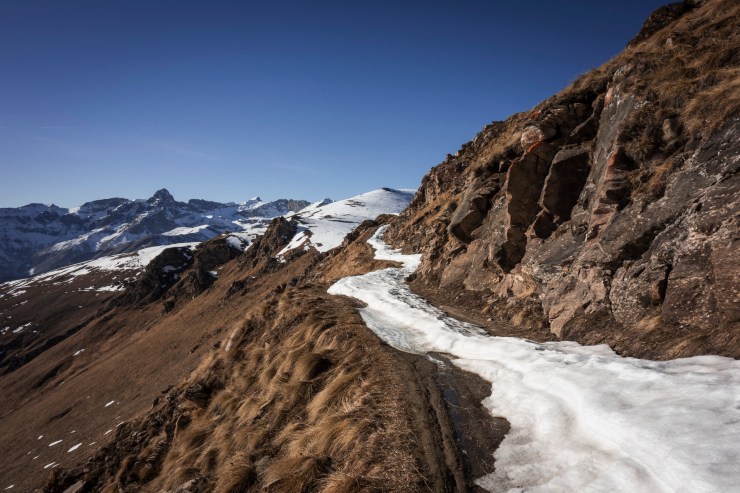 33212372478_77c620856c_k