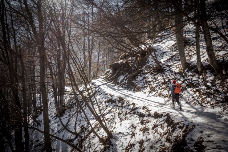 33289738078_25881ae78e_k