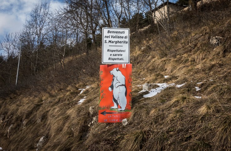 33289749658_d87d6fe586_k