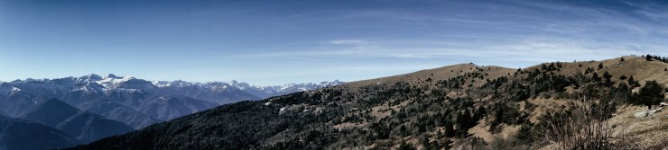 40040393273_b733facc20_k