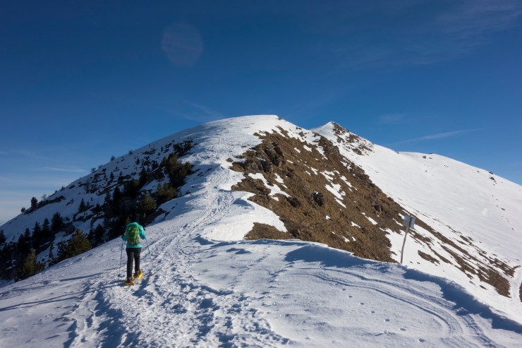 40122620193_3d7b911fd3_k