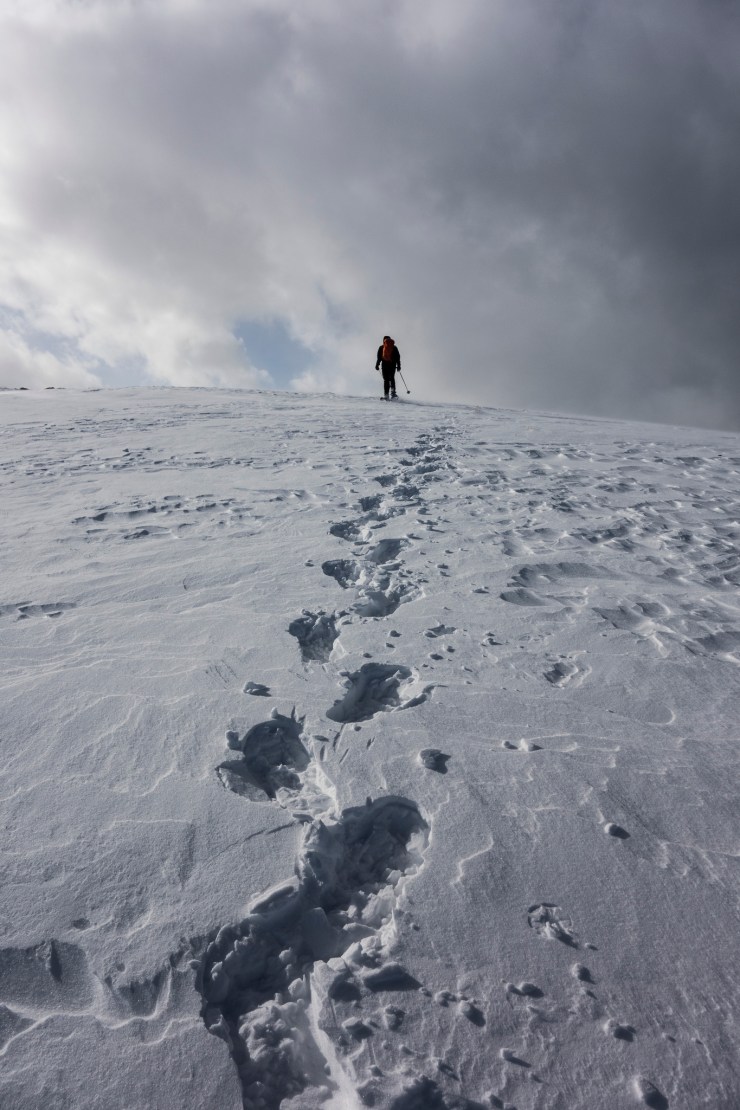 40199982973_6f6d842b4d_k