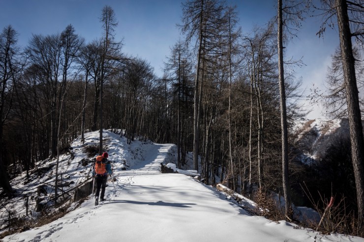 40200001153_0f5584b980_k