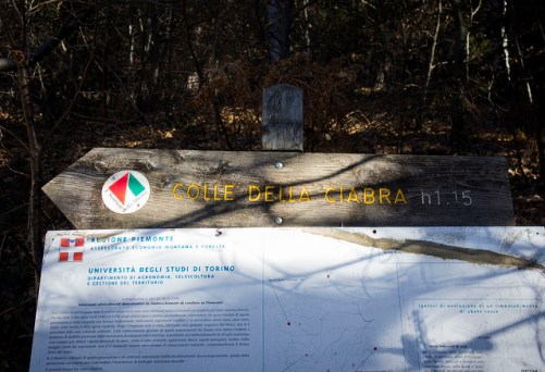 46091150335_d3a64c8615_z