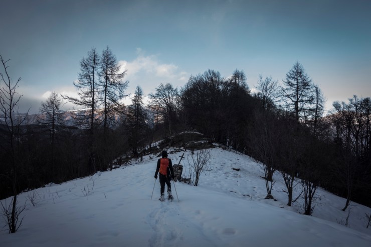 46250724965_832d0bfb40_k