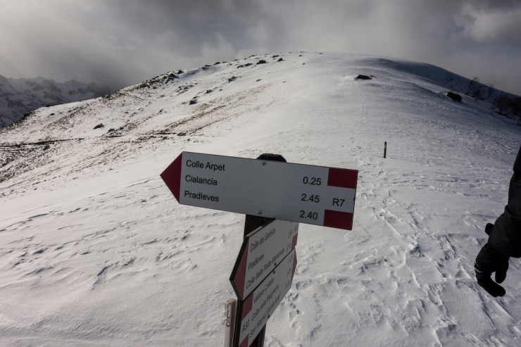 46441435114_7c6206174a_k