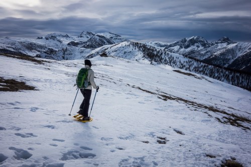 46874639572_2afba14a57_o