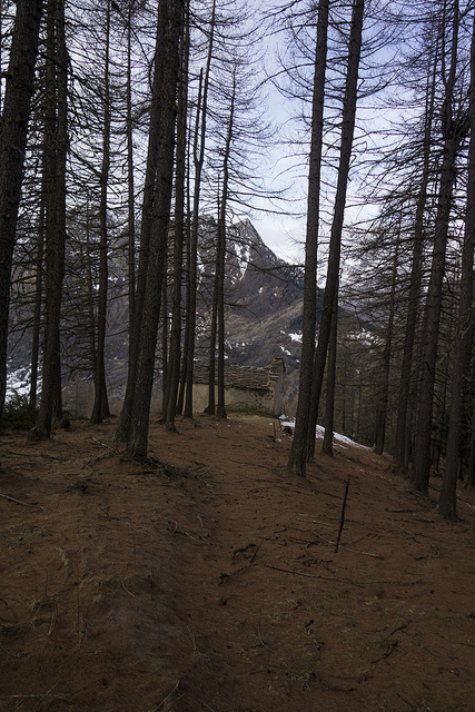 46874680542_448cebc860_z