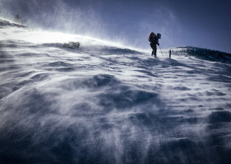 50807590_1196805130485083_7197878353552998400_o