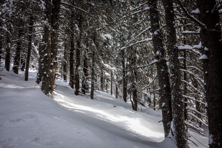 32299901937_a53f44df9d_k