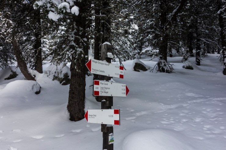 32299902957_67a7398b6f_k