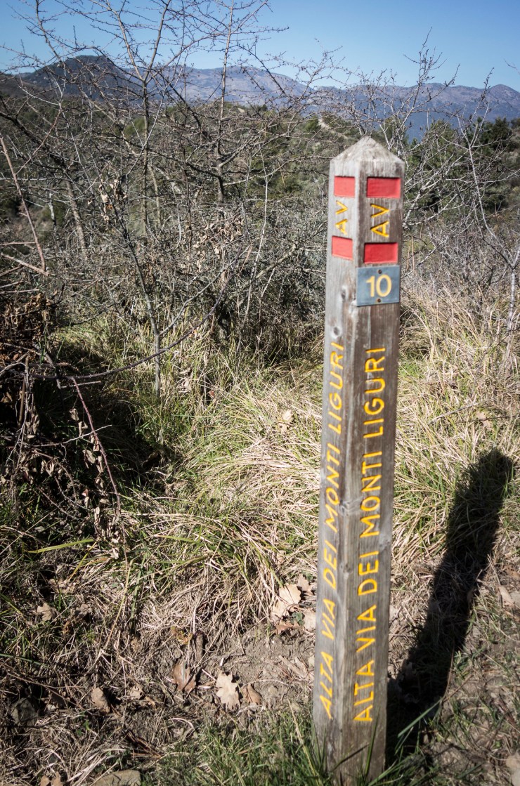 33654725058_283eb89d68_k