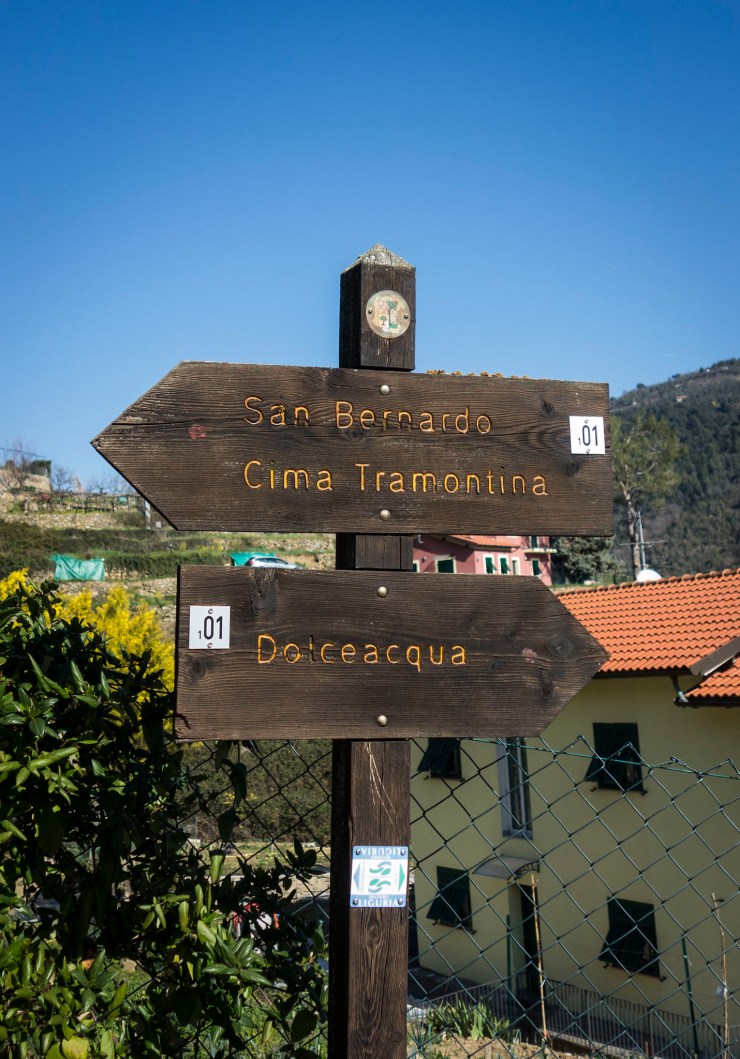 40565545523_2cf24cc9a4_k