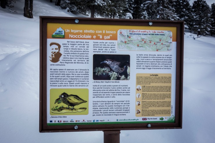 46327557785_eb6add28fe_k