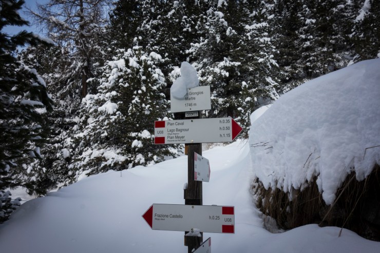 46327562415_2a61bc2b91_k