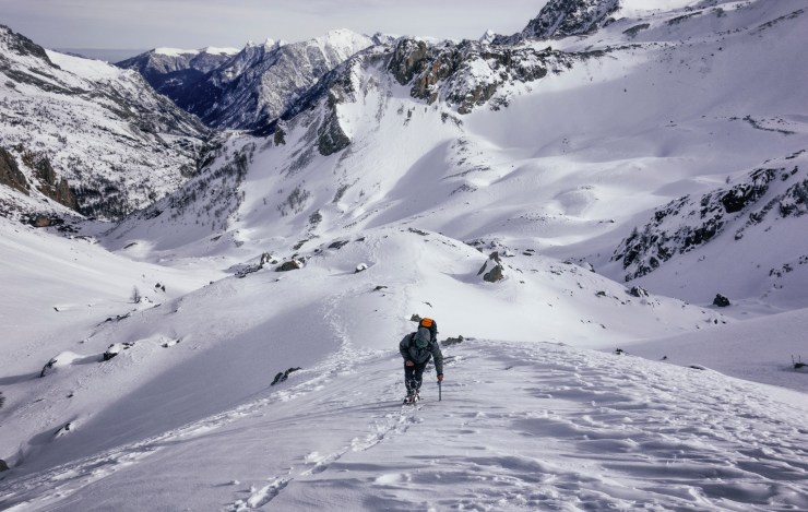 46392828775_d67acaf1ca_k