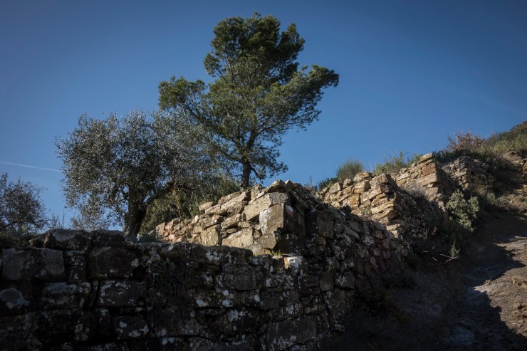 46616071765_d8c33377ed_k