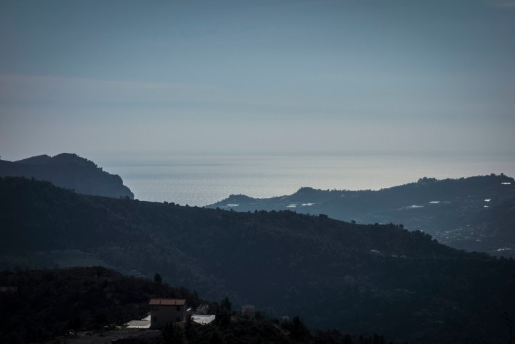 46807689924_dfc794b21e_k