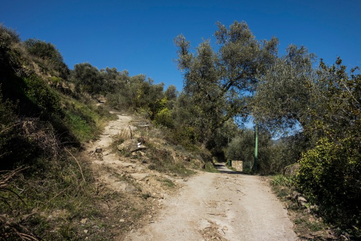 46807877744_7d958088f0_k