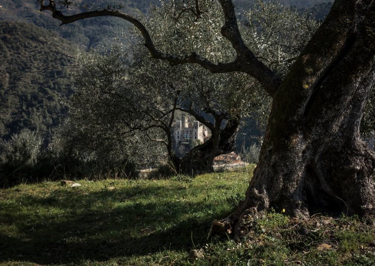 46807879594_31c7add8b6_k