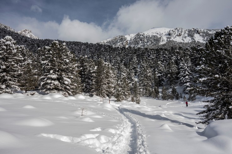 47189989892_5324edf87e_k