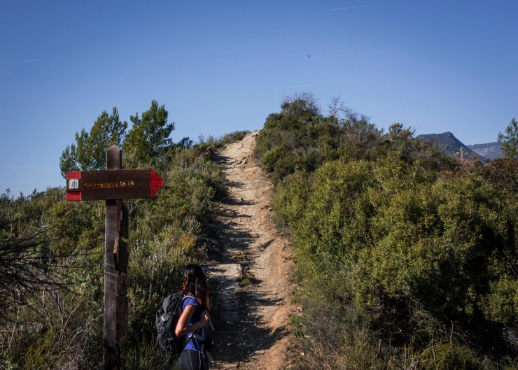 47531383251_267e838a01_k