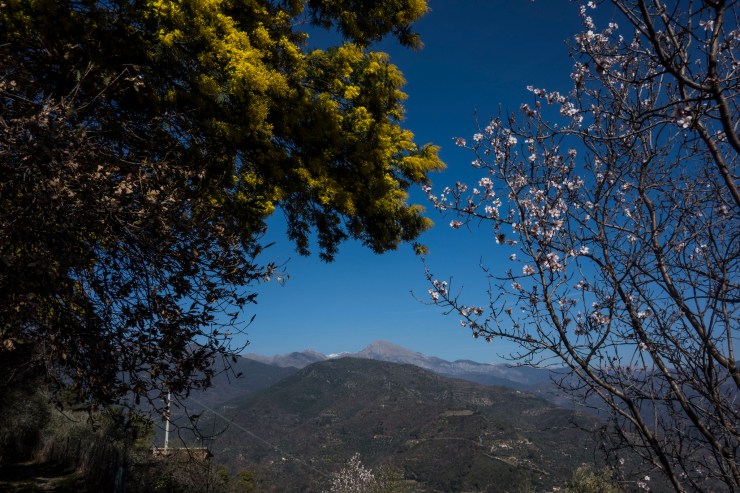 47531430681_d5b7b329c7_k