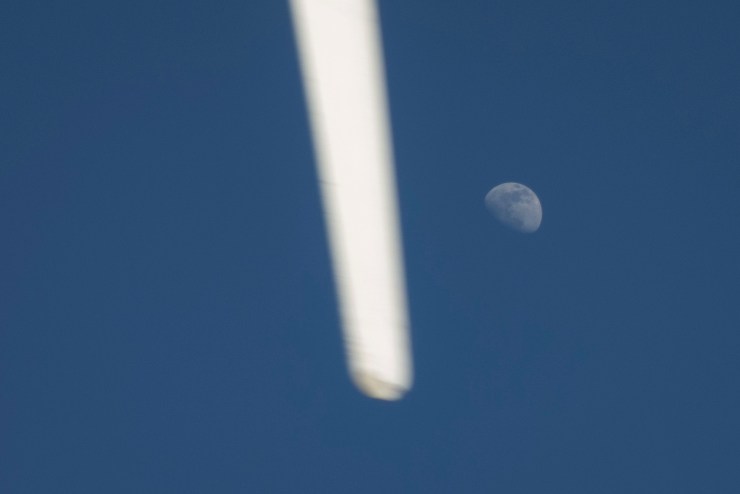 32709128647_aee6068cb2_o