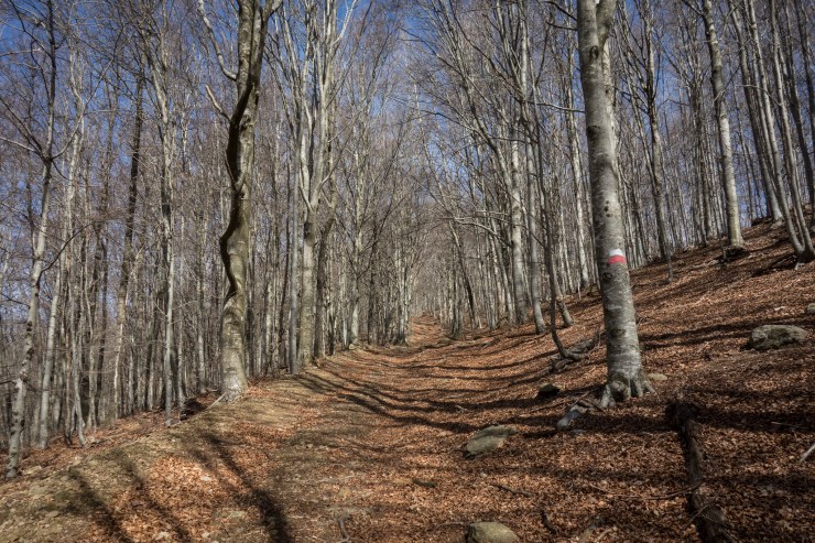 32709260397_9f181eb7e8_k