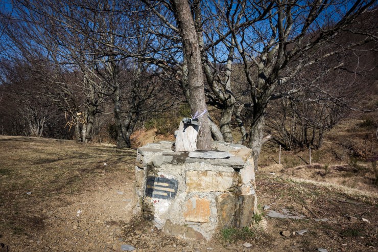 32755851767_9cc8c6f351_k