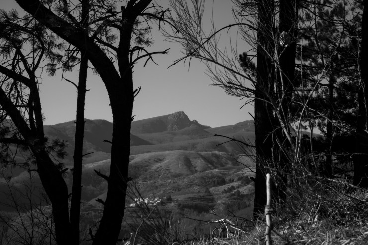 33821649288_416394d7a1_k