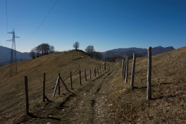 33821672478_a2e63bad5c_k (1)