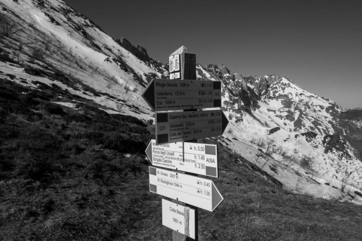 33986098108_1f42955dfc_k