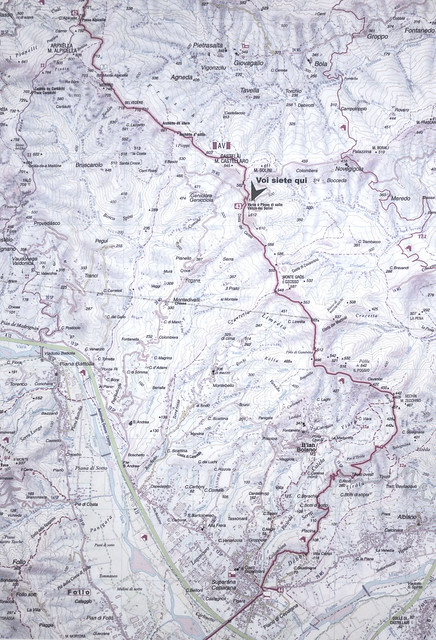 40592661993_e91b0a63da_z