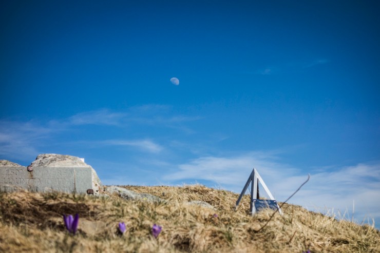 40685279733_c0bfd0836b_k