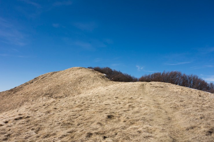 40685307123_d747681782_k