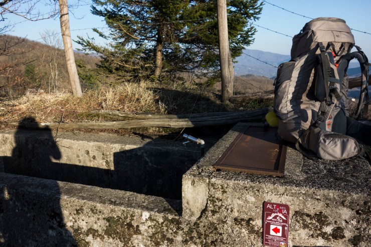 40732700253_0423225269_k