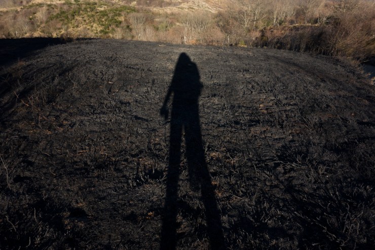 40732707123_ea2e547ea5_k