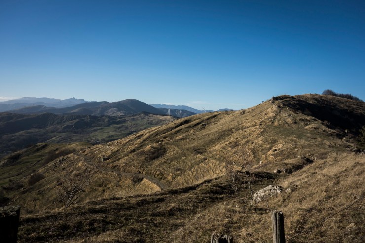 46736139505_2de8b179a8_k