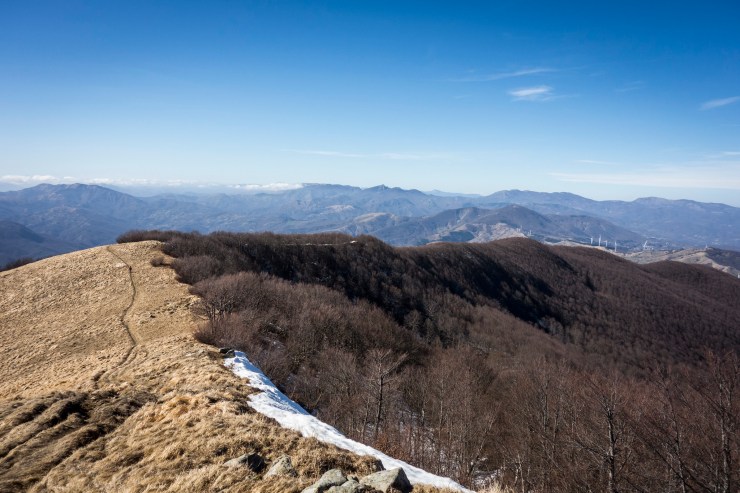 46736160625_9c96a1c6dd_k