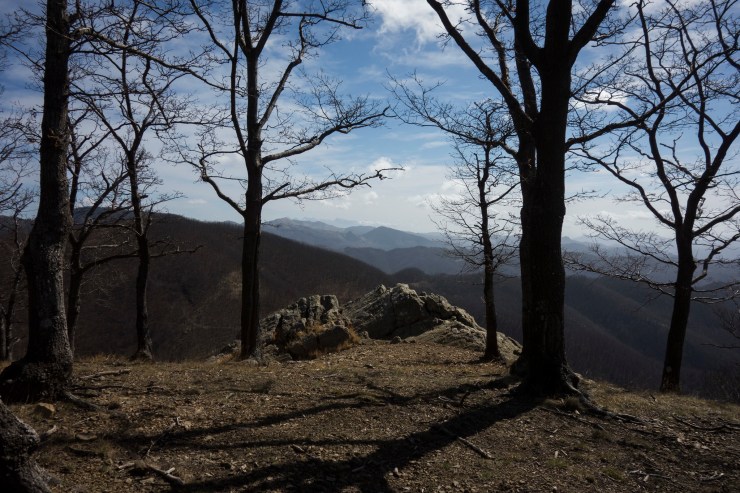 46928016554_07ad9a28f1_k