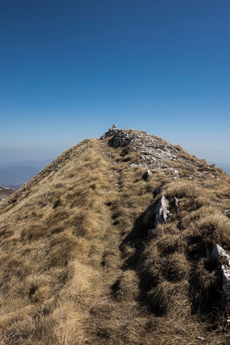 46947140695_80708ea87c_k