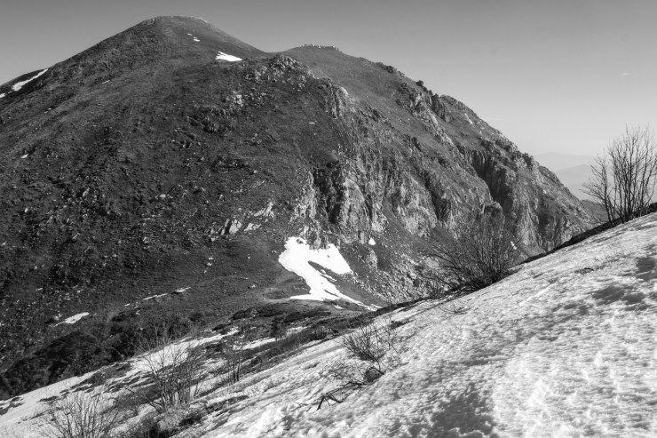 46947167785_ae11c86be6_k (1)