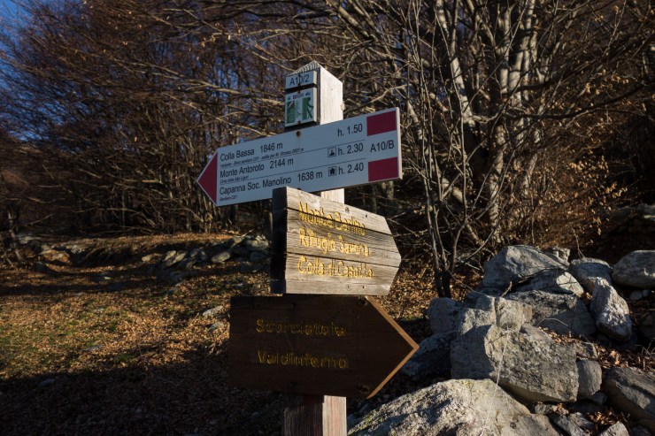 47073908864_d577a0a8dc_k