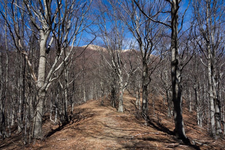 47599044762_807c603145_k