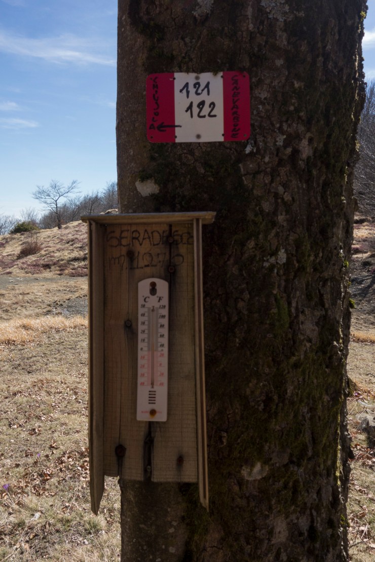 47599053502_3c62133c16_k