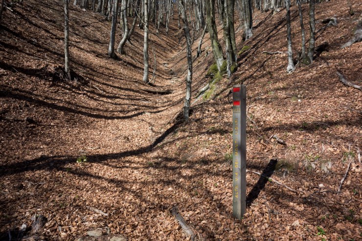 47699147881_d6a3e3d8e3_k