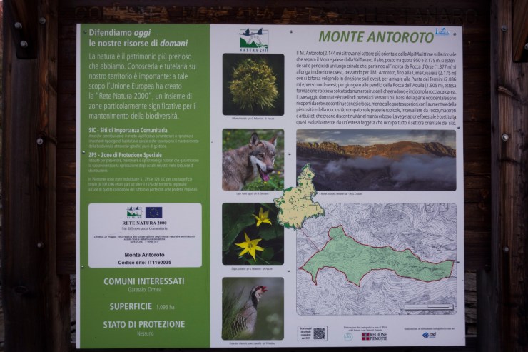 47811165152_f436eb72a4_k