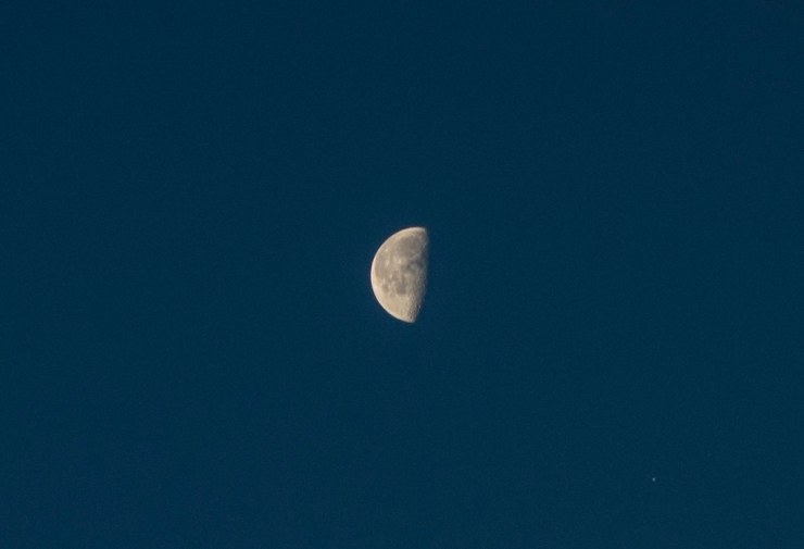 47935890331_c20686cf10_b